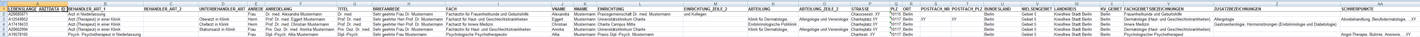 Excel-Musterdatei per Mausklick herunterladen