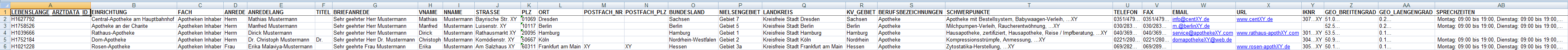 Excel-Musterdatei per Mausklick herunterladen